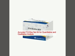 Kvantitatif ve kalitatif analiz için doğru FT4 Elisa Test Kits