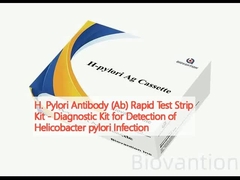 H. Pylori Antibody (Ab) Rapid Test Strip Kit - Helicobacter pylori Enfeksiyonu tespiti için teşhis kiti