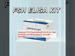 Yüksek duyarlılık ve doğru tespitte performans için gelişmiş FSH (Kvantitatif) ELISA kiti