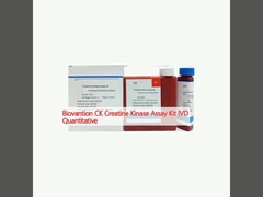 Biovantion CK Kreatine Kinase Assay Kit IVD