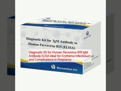 İnsan Parvovirus B19 IgM Antibody ELISA Diagnostic Kit Eritema Infectiosum ve Hamilelikteki Komplikasyonlar için İdeal
