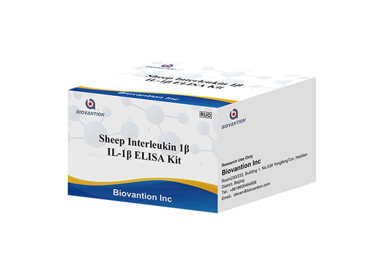 Koyun İnterlökin 1 Beta Elisa Kiti IL1F2 ELISA RUO Test Kiti Il1b Elisa Kiti