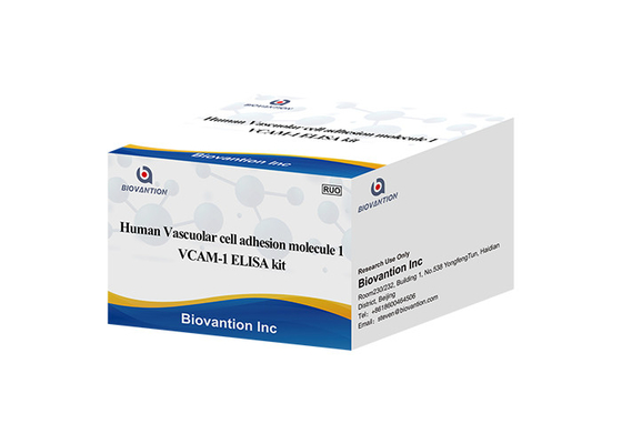 İnsan Vasküler Hücre Yapışma Molekül 1 için VCAM1 CD106 ELISA RUO Test Kiti