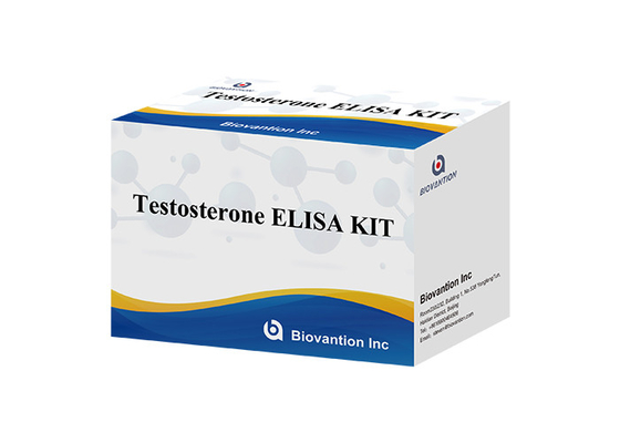 Testosteron Elisa Test Kütesi