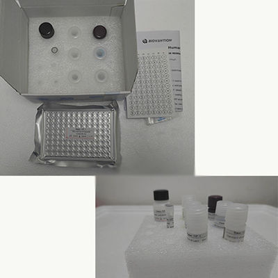İnsan TNF-α RUO Elisa Test Kits