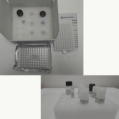 İnsan TNF-α RUO Elisa Serum Test Seti 96 Test ile