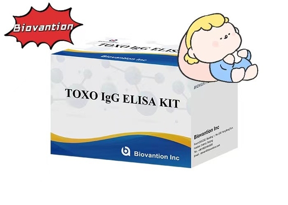Fener Yüksek Duyarlılık TOXO IgG ELISA Test Kütesi Hastane Testleri Hamilelik Kontrolü