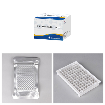 Duyarlılık ve Spesifikite IVD Elisa Test Serum Örnek Enzim Bağlı Immunosorbant Test Kits