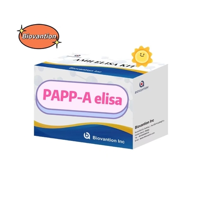 PAPP-A Elisa Test Kütesi Duyarlılık Serolojik Tanım Diagnostik Kütesi