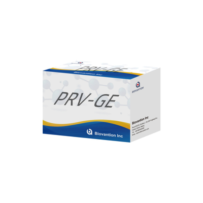 Hayvanlar için ELISA testi PRV-GB Domuz sahtekarlığı GB antikorlar veteriner reaganslar ivd