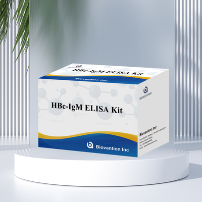 Yüksek hassasiyetli HBc IgM Antjen Reagent Diagnostik Testi Enzim Bağlı Immunosorbant Test Kits ile