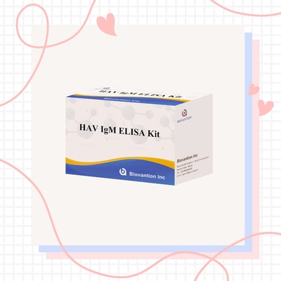 HAV IgM Elisa Test Hepatit A Diagnostic Kit In Vitro Enzim Immunoassay