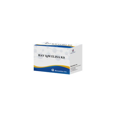 HAV IgM ELISA Kit Yüksek Duyarlılık Hepatit A Virüs tespiti Klinik laboratuvarlar için güvenilir doğru teşhis testi