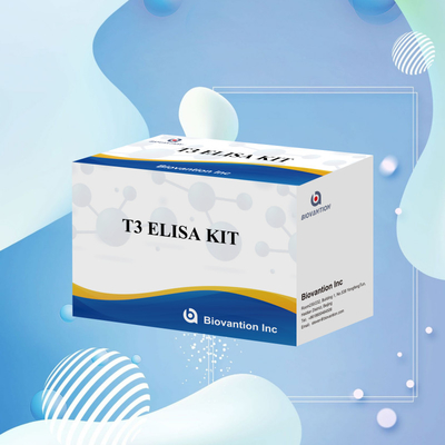 T3 Enzim Bağlı İmmunosorbant Test T3 ELISA Kit