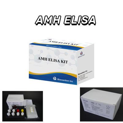 IVD testi 96 testi ile insan için tespit edilen Anti-Mullerian Hormonu AMH Elisa