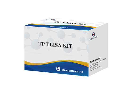 Erkek ve Kadın Enfeksiyonu Yüksek Sifilis TP Ab Antibody ELISA Test KIT