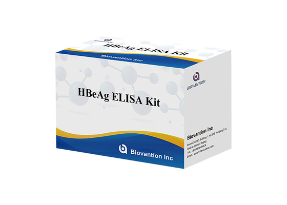 İnsan HBeAg Elisa Test Kiti Kan Hepatit B Zarf Antijen Testi