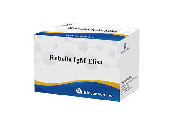 Laboratuvar veya Hastane Yüksek Doğruluklı Rubella Igm ELISA Test KIT