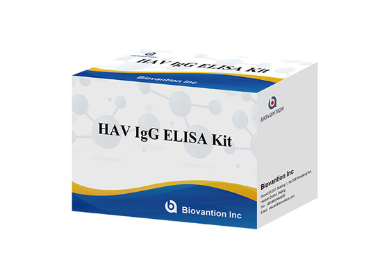 Hepatit A Virüsü İçin HAV IgG Elisa Kit Antikor Teşhis Kiti