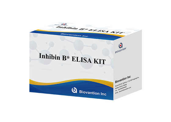 Laboratuvar veya Hastane Yüksek hassasiyetli Inhibin B bağışıklık tespiti ELISA TEST KIT