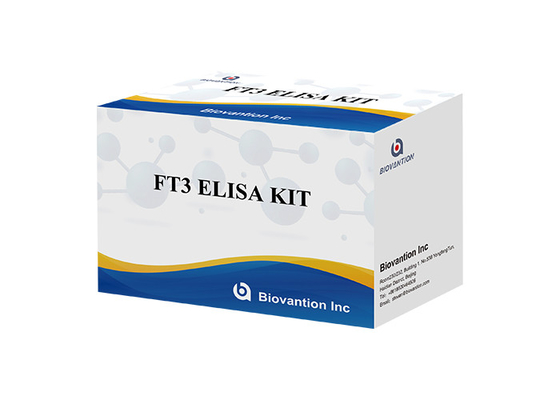 FT3 Elisa Test Kiti 110 Dakika Serbest Triiyodotironin T3 Serbest Kan Testi