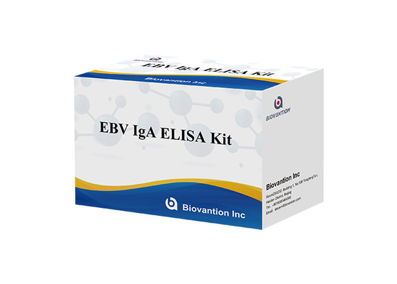 EBV-VCA IgA Ab Testi ELISA Kiti Enzim İmmünoassay Testi Plazma Örneği