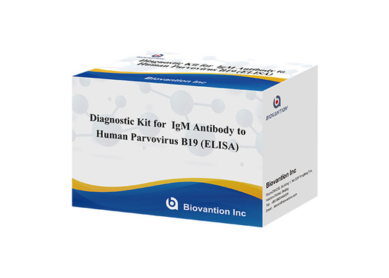İnsan Parvovirüsüne Karşı Antitemiz B19 IgM ELISA Test Kits Diagnostik Kits