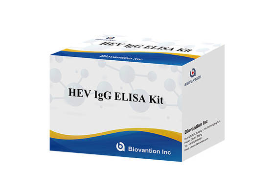 Hepatit E Virüsüne Karşı IgG Antikoru İçin HEV İnsan Igg Elisa Kiti Teşhisi