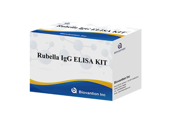 Laboratuvar veya Hastane Yüksek Doğruluklı Rubella IgG ELISA Test KIT