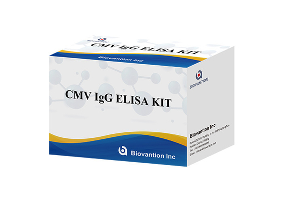 Laboratuvar veya Hastane Yüksek Doğruluklı CMV IgG ELISA Test KIT Elisa Test Kiti