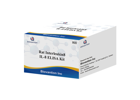 Sıçan IL-8 İnterlökin 8 Elisa Kiti CXCL8 Elisa Test Kitleri Kemokin (C-X-C Motifi) Ligand 8