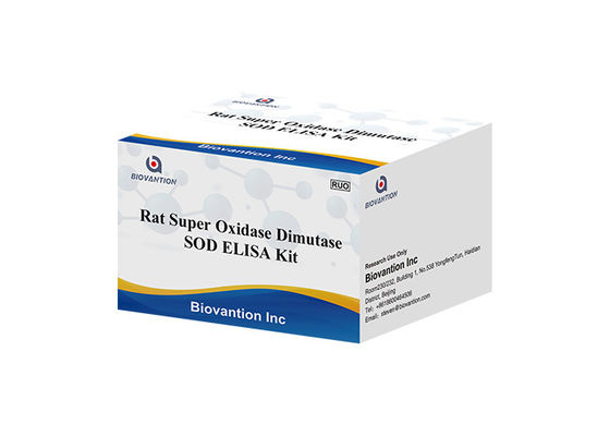 Sıçan Superoxide Dismutase Elisa Kit