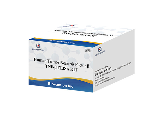 TNFB TNFSF1 Lenfotoksin Alfa LTA ELISA KIT İnsan Tümörü Nekroz Faktörü Beta