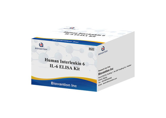 İnsan İnterlökin 6 RUO Test Kiti IL-6B-Hücre Uyarıcı Faktör 2 BSF-2 IFNB2