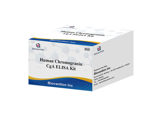 CgA ELISA RUO Test Kiti İnsan Kromogranin A Elisa Kiti Hipofiz Salgı Proteini I