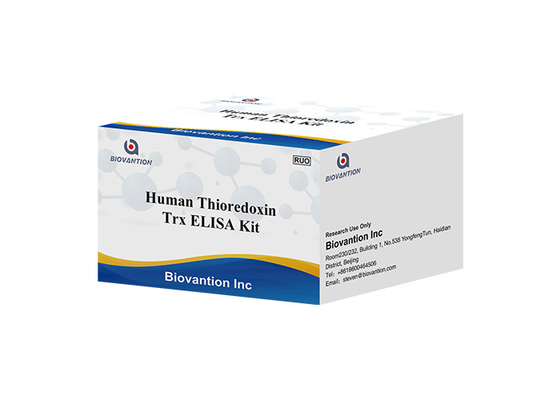 İnsan Trx Tioredoksin ELISA Tioredoksin Test Kiti RUO Test Kiti