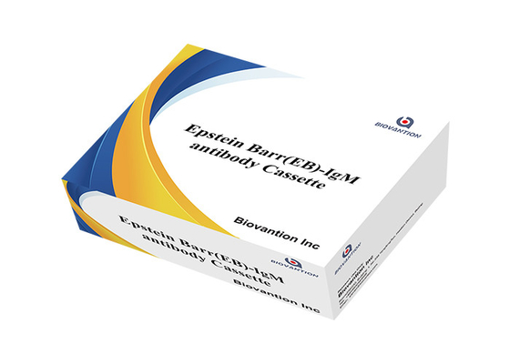 Epstein Barr EB IgG/IgM Hızlı Kaset Test Bulma Sona Erme Tarihi 24 Ağız