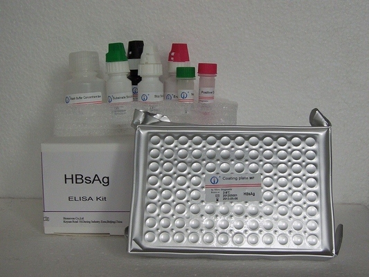 HBsAg ELISA Test Kütesi HBsAg Virüsünün Nitelikli Belirlenmesi
