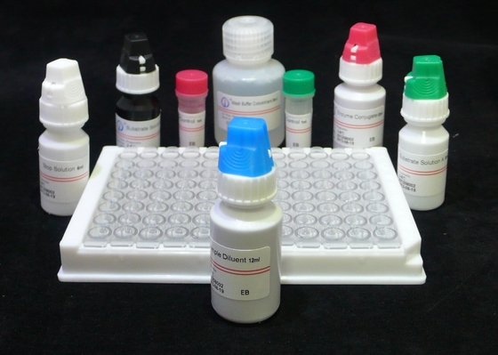 H.Pylori IgG Quant. Elisa Kit Origin Elisa Test Kit Format Kit Biovantion