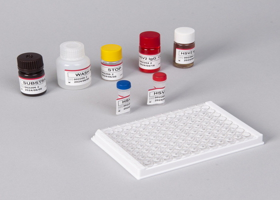 Laboratuvar veya Hastane için Beta-İnsan Koriyonik Gonadotropin Elisa Test Kiti
