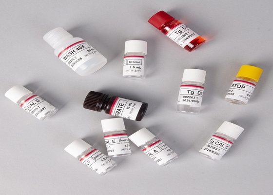E2 ELISA Test Kits In Vitro Deteksyon Tıbbi Deteksyon Yüksek hassasiyet