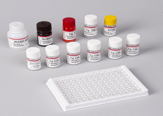 E2 ELISA Test Kits In Vitro Deteksyon Tıbbi Deteksyon Yüksek hassasiyet