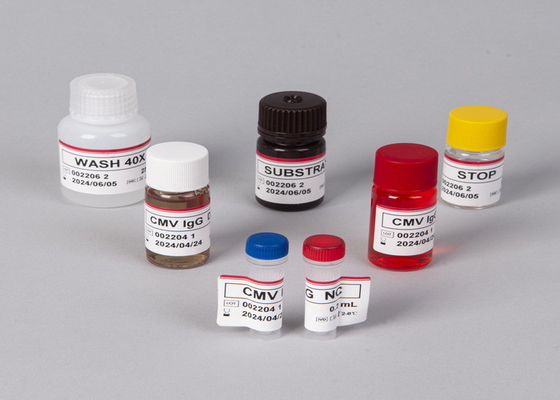 Laboratuvar veya hastane için yüksek hassasiyetli Beta-İnsan Korionik Gonadotropin Elisa Test Kiti