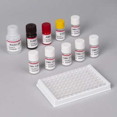 80 Dakika Plazma AMH Test Kiti Anti Müllerian Hormon Kan Testi
