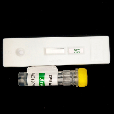 Serum Tiroid-Stimülatör 96Hormon Tsh Elisa Reagent Kits 96 kişi için