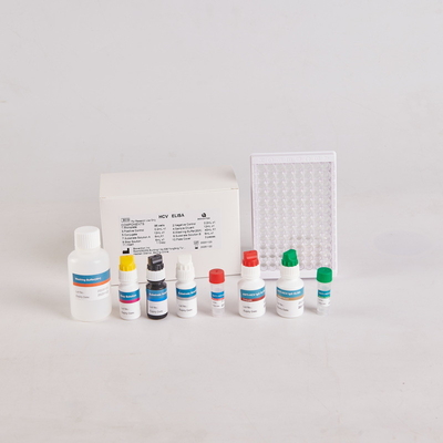 İnsan PTH Elisa Kit/İnsan Paratiroid Hormonu Elisa Kit, RUO için 96 test ile