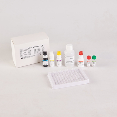 Brucella elisa test kiti RUO Enzim Bağlı Ürün Test Kiti Sadece Hayvan testi kullanın