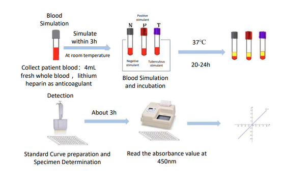 Tüberküloz-Interferon Gamma Serbestleme Analiz Elisa kiti Biovantion tarafından üretildi.