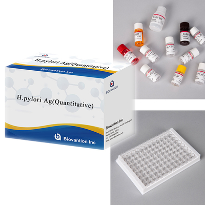 Helicobacter Pylori Antigen H.pylori Ag (Kvantitatif) ELISA testi