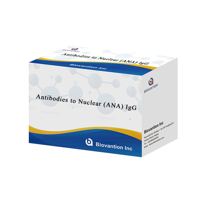 Nükleer (ANA) IgG ELISA testi türü Elisa Kit'e karşı antikorlar